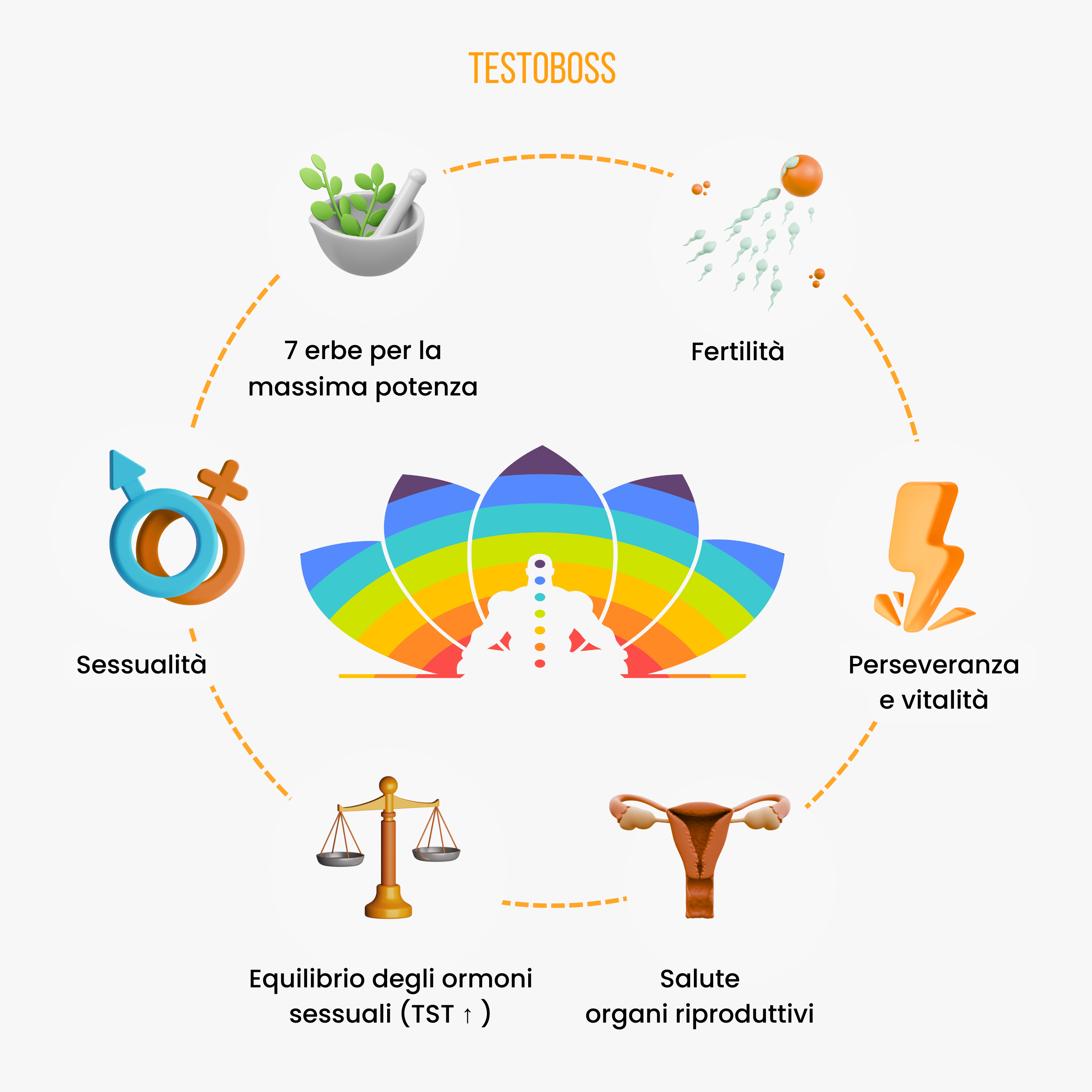 (Italština) TESTOBOSS